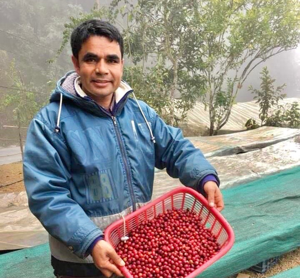 【クラフトカフェオレベース】送料無料 ネパールの直営農園で森林農法で栽培したコーヒー豆使用。 7枚目の画像