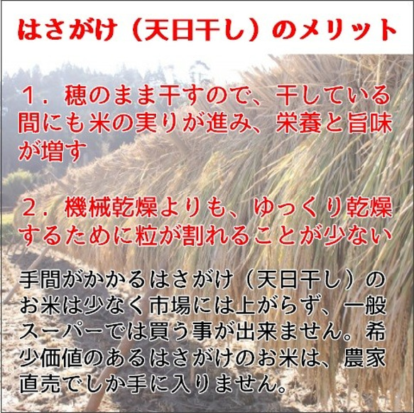 旨さ凝縮・希少な天日干し米　令和2年産・新米・飛騨こしひかり『じいじのお米・天日干し米』3ｋｇ入り　精米無料サービス有り 2枚目の画像