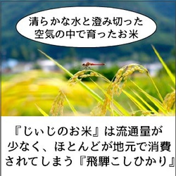 旨さ凝縮・希少な天日干し米　令和2年産・新米・飛騨こしひかり『じいじのお米・天日干し米』6ｋｇ入り　精米無料サービス有り 5枚目の画像