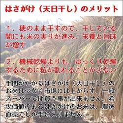 贈答用ラッピングサービス！旨さ凝縮・希少な天日干し米　令和2年産・新米・飛騨こしひかり『じいじのお米』3ｋｇ入り 2枚目の画像