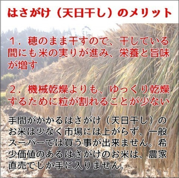 贈答用ラッピングサービス！旨さ凝縮・希少な天日干し米　令和2年産・新米・飛騨こしひかり『じいじのお米』3ｋｇ入り 2枚目の画像