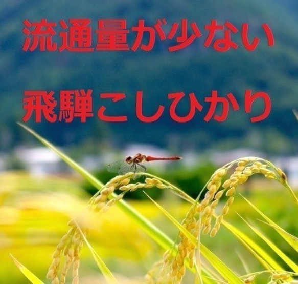 限定販売！令和元年産・新米・飛騨こしひかり『じいじのお米・天日干し米』3ｋｇ入り 4枚目の画像