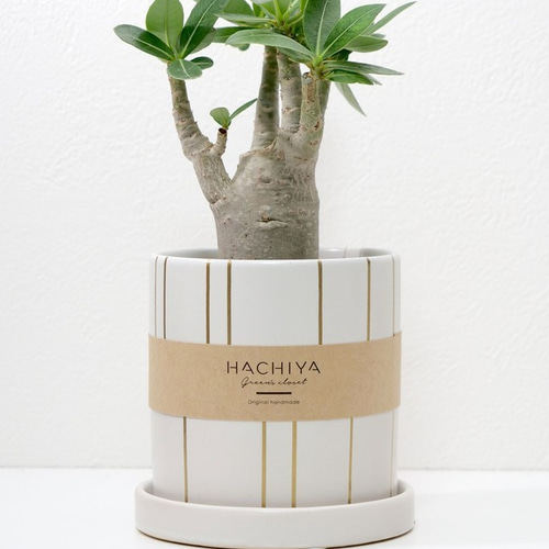 マイセン 花瓶（陶器 一輪挿し） 色被せ一輪挿し「マイセンフラワー