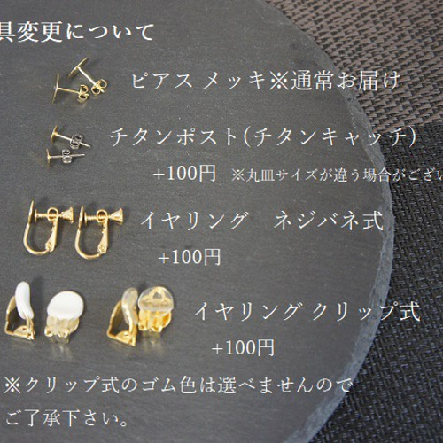 送料無料【NO.50】つぶつぶビーズ刺繍ピアス(イヤリング変更可) black 