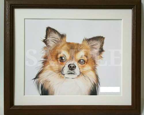 鉛筆画 犬 高級額縁つき 1c7e00e85252c3f12bd89a6ec352ad