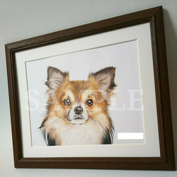 色鉛筆画 犬の絵 No.1 2枚目の画像