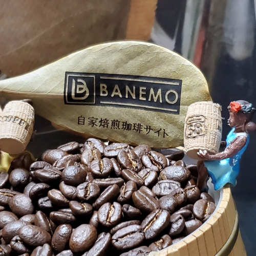 【コーヒー生豆】ブラジルNo2 　5kg　 ※送料無料！ 楽天市場】コーヒー生豆 ブラジルの通販