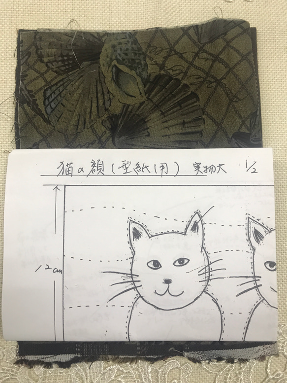 猫の額のキット 2枚目の画像
