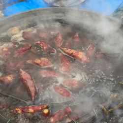 【送料無料】食べやすい新感覚な干し芋！やわらかぽちいも　世界農業遺産認証品 7枚目の画像