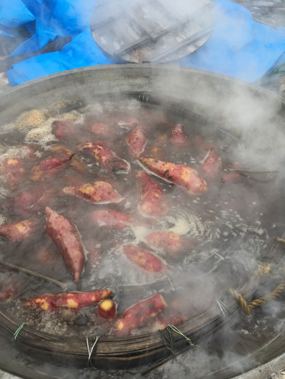 【送料無料】食べやすい新感覚な干し芋！やわらかぽちいも　世界農業遺産認証品 7枚目の画像