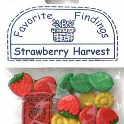【USAボタン】Strawberry Harvest【ff0223】 7枚目の画像