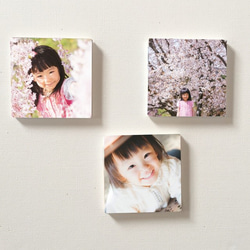 3枚セット キャンバスフォトパネル (180㎜x180㎜ ) その他インテリア