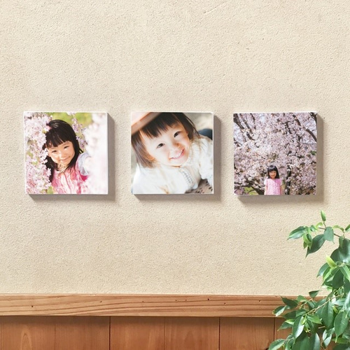 3枚セット キャンバスフォトパネル (180㎜x180㎜ ) その他インテリア