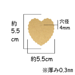  第2張的照片