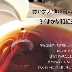 【送料無料】日本茶ひとゆた　缶入り　2種セット 7枚目の画像