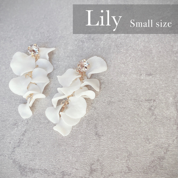 Lily (smallsize) 1枚目の画像