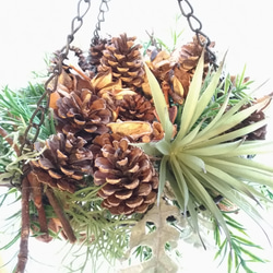 sale! UP++natural hunging wreath 2枚目の画像