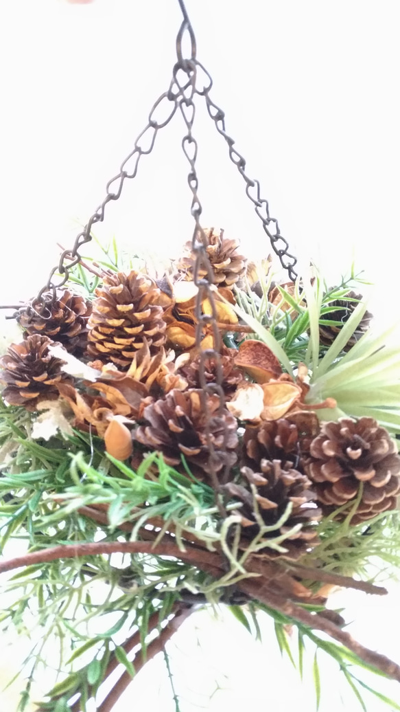 sale! UP++natural hunging wreath 5枚目の画像