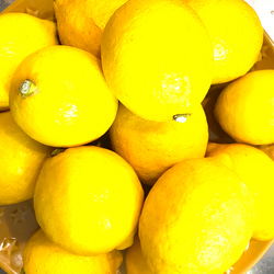 瀬戸内レモンをギュギュッーと詰め込んだウィークエンドシトロン大2個♪ 4枚目の画像