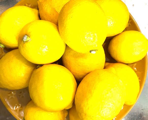 瀬戸内レモンをギュギュッーと詰め込んだウィークエンドシトロン大2個♪ 4枚目の画像