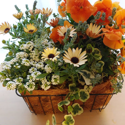 母の日にも♪ 寄せ植え　花■大人可愛いバスケット 母の日のギフトに｜お花おまかせセレクト母の日寄せ植えギフト M