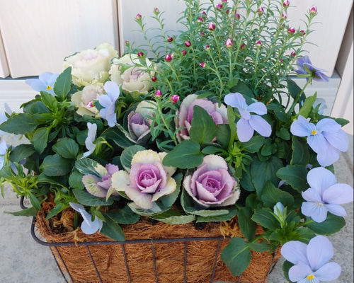 0_6ed72365ecfd41a3288a9c87c8ca