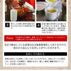 台湾茶 茶器 茶葉 本格おすすめ入門セット（登頂烏龍茶、ジャスミン茶、蜜香紅茶、東方美人茶、文山包種茶）中国茶 10枚目の画像