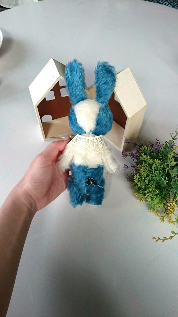 藍兔 第5張的照片