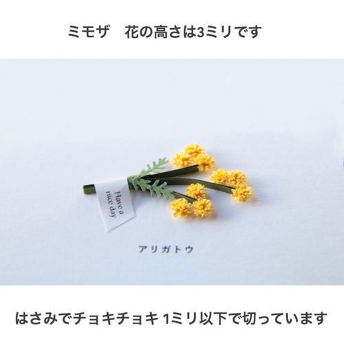 メッセージカード / ミモザ【CONGRATULATIONS】紙で出来てる立体カード