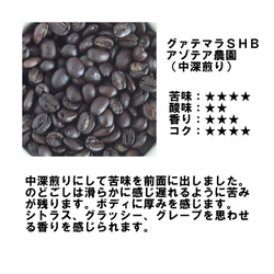 コーヒー豆　グアテマラＳＨＢアゾテア農園 中深煎り 300ｇ　自家焙煎珈琲 2枚目の画像