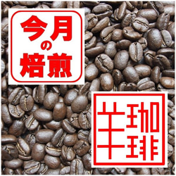 今月の焙煎 コーヒー豆 コロンビア・マグダレナＳＵＰ400ｇ　自家焙煎コーヒー 送料無料 1枚目の画像