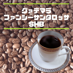 コーヒー豆　グァテマラ　ファンシーサンタロッサSHB 200ｇ　自家焙煎珈琲　中煎り 送料無料 1枚目の画像