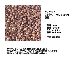 コーヒー豆　グァテマラ　ファンシーサンタロッサSHB 200ｇ　自家焙煎珈琲　中煎り 送料無料 2枚目の画像