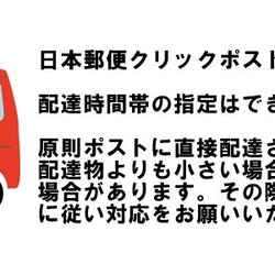 コーヒー豆 グァテマラ　ファンシーサンタロッサSHB 300ｇ　自家焙煎珈琲 中煎り　送料無料 6枚目の画像