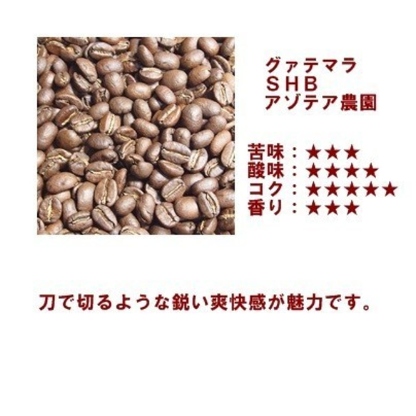 コーヒー豆　グアテマラＳＨＢアゾテア農園 中煎り 400ｇ　自家焙煎珈琲 2枚目の画像