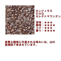 ホンジュラスSHGセレクトマウンテン200ｇ　自家焙煎コーヒー 送料無料 2枚目の画像