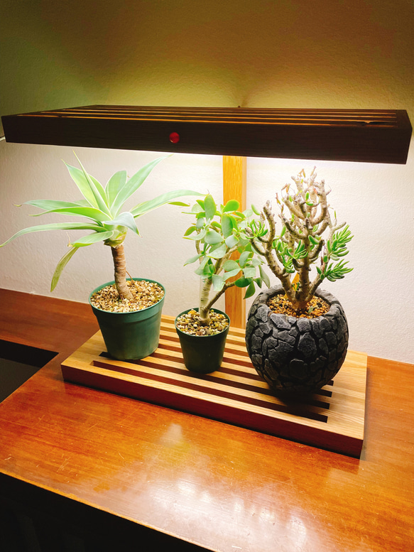 植物育成LEDライトスタンド（LED4灯ナラ） 一輪挿し・花瓶・花器 8929