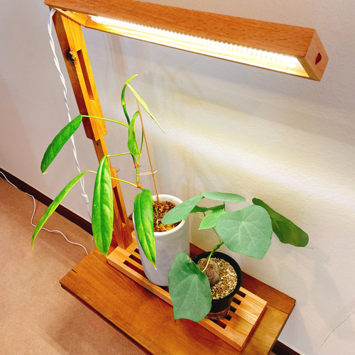 植物育成LEDライトスタンド2灯［オーク］ 一輪挿し・花瓶・花器 8929