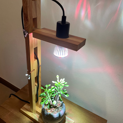 植物育成用LEDスポットライト 5個セット 24w 赤/青 植物育成LED スポットライト E26 植物育成用660nmLED使用