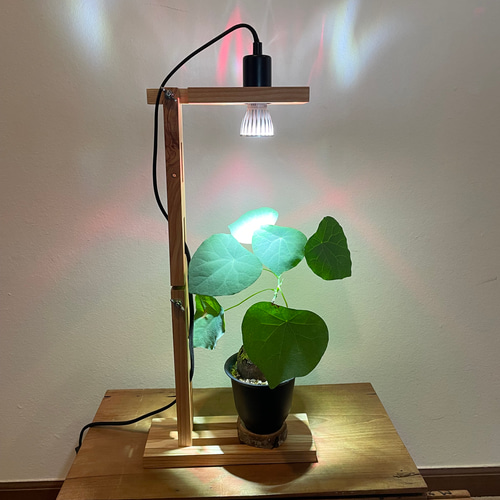 植物育成用LEDスポットライト 5個セット 植物育成スポットライト（5W）LED付 一輪挿し・花瓶・花器 8929