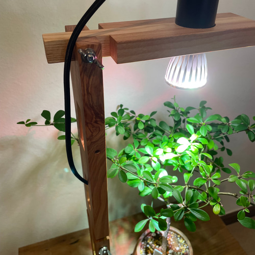 植物育成スポットライト（5W）LED付 一輪挿し・花瓶・花器 8929 通販