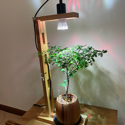 植物育成スポットライト（5W）LED付 一輪挿し・花瓶・花器 8929 通販
