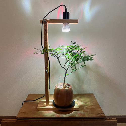 植物育成用LEDスポットライト 5個セット 植物育成スポットライト（5W）LED付 一輪挿し・花瓶・花器 8929 通販