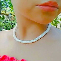 White Clamshell Necklace/14kgf ホワイトクラムシェル ネックレス 5枚目の画像