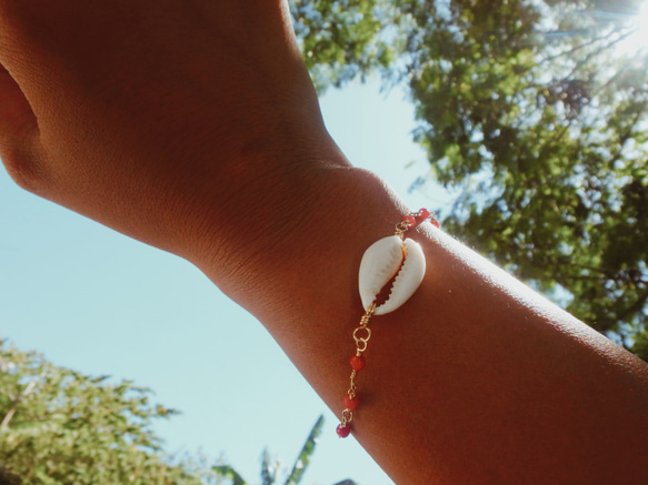 Cowry × Red Coral Bracelet/14kgf タカラガイ×赤珊瑚ブレスレット 3枚目の画像