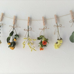 ドライフラワーガーランド♡オーダー受付♡ ♡ドライフラワーガーランド♡オーダー受付♡