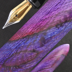 木軸万年筆 ◇ リグナムバイタ ペン・筆記用具 pantographica 通販