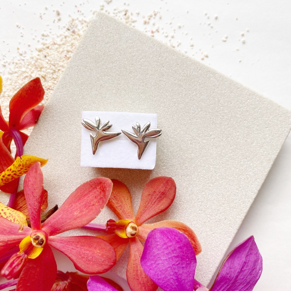 Bird of paradise 8,140円