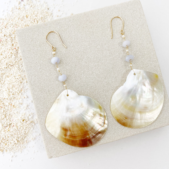 Shiny shell earrings 1枚目の画像