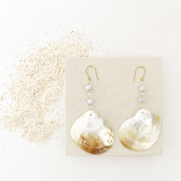 Shiny shell earrings 2枚目の画像